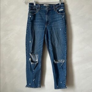 Abercrombie High Rise Mom Jean curve love distressed ripped size 29